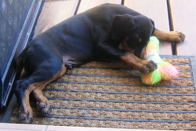 Gem relaxing at home